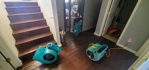 Professional Water damage restoration in LA