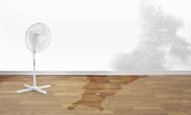 Best Residential water damage restoration  in Walce Ridge, LA
