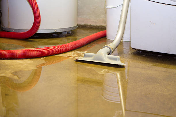Best Professional water damage repair  in Walce Ridge, LA